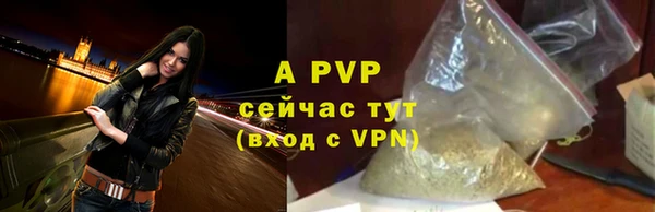 ECSTASY Каменногорск
