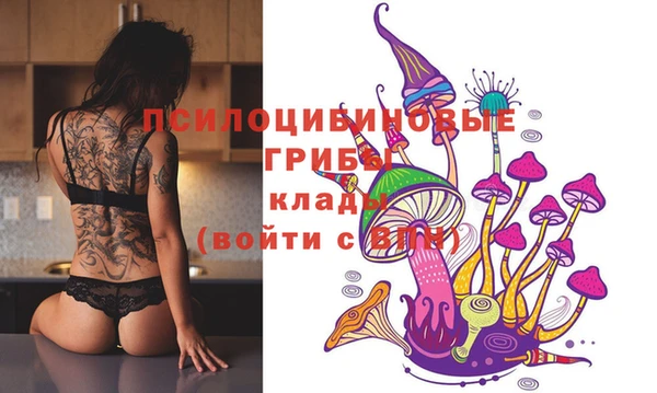 Альфа ПВП Каменка
