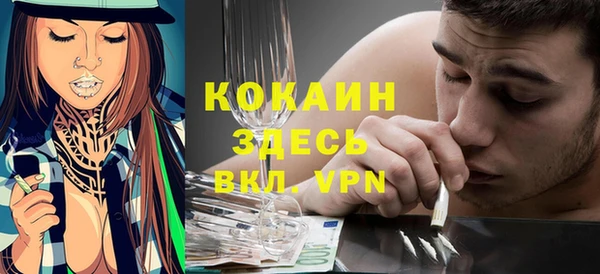 Альфа ПВП Каменка