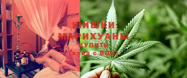 Альфа ПВП Каменка
