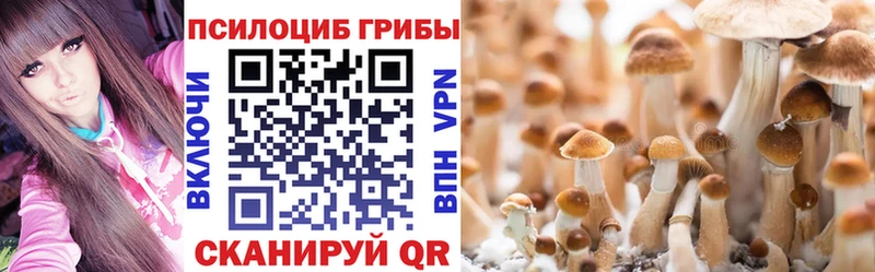 Галлюциногенные грибы Psilocybe Солнечногорск