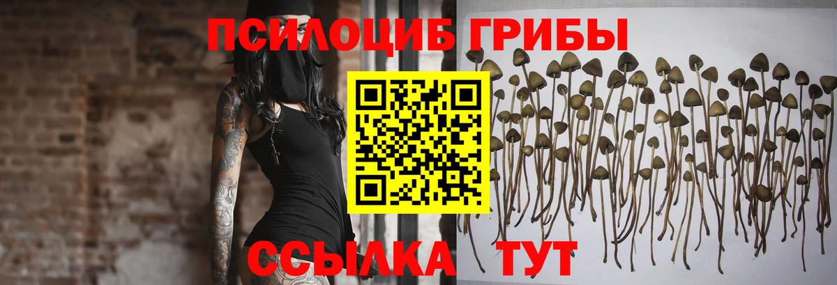Солнечногорск  Галлюциногенные грибы ЛСД  Вход с VPN 